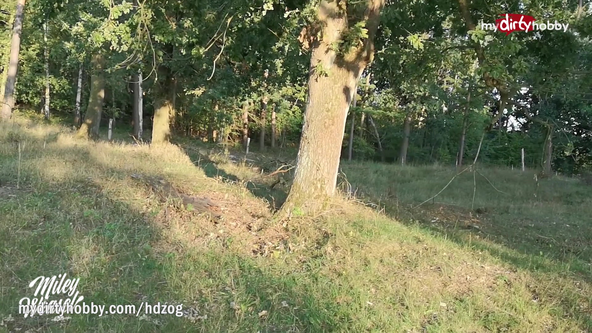 MyDirtyHobby - German MILF blows twice and creampied outdoors