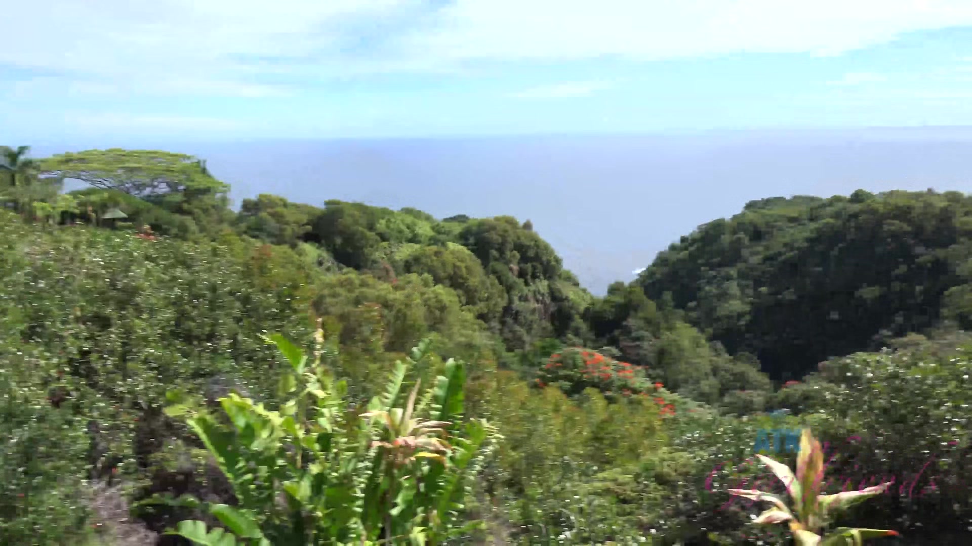 Virtual Vacation In Hawaii With Makenna Blue Part 7