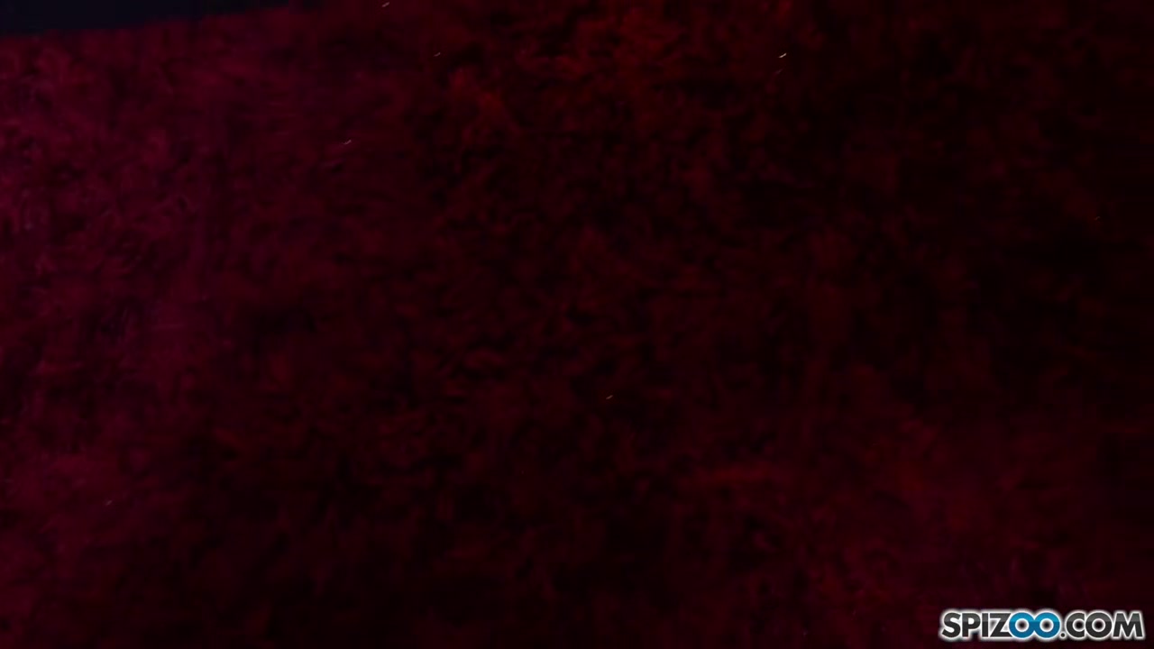 Romi Rain Birthday Stripper