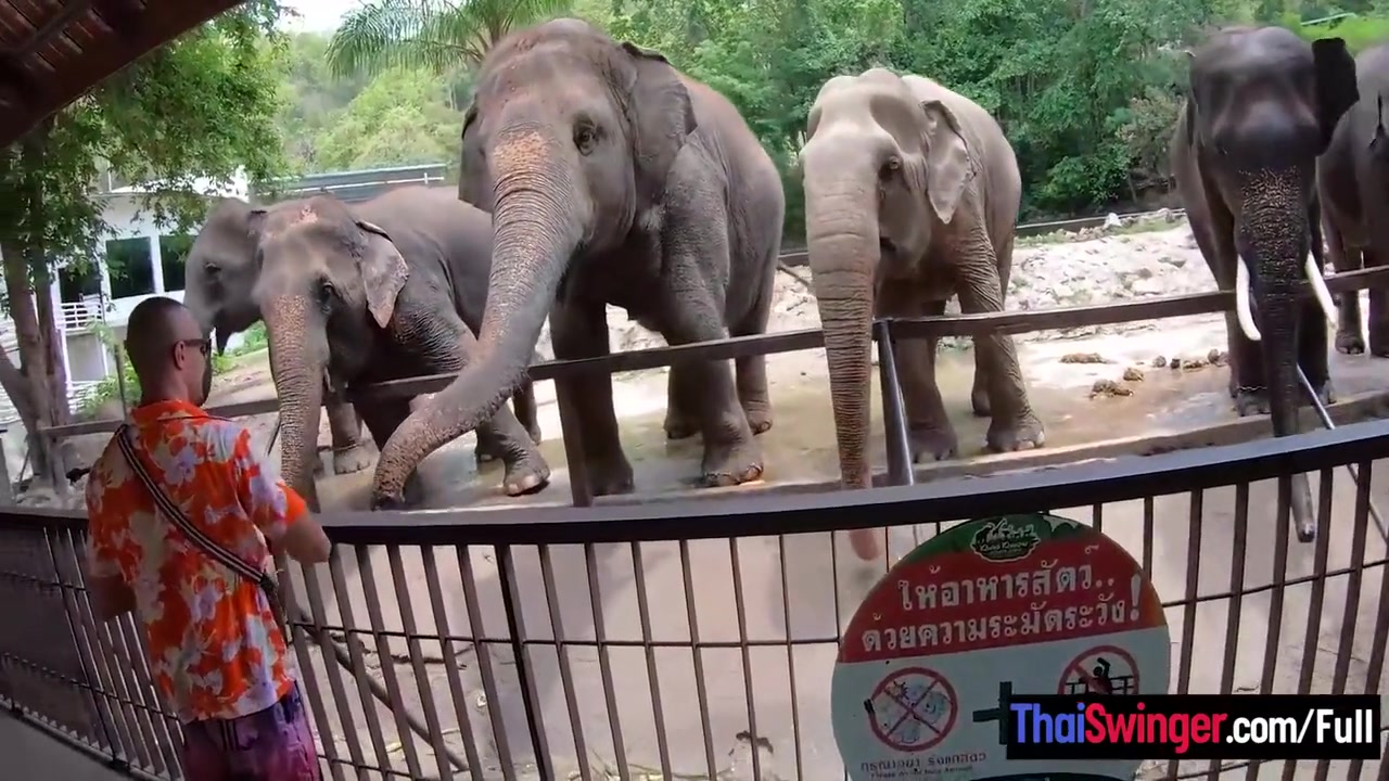 Amateur Thai Girlfriend Went To See And Has Sex Afterwards With Bf 7 Min