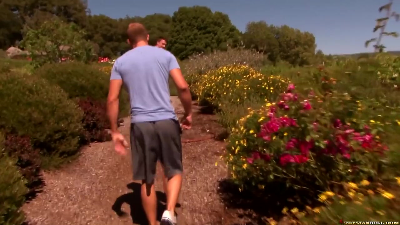 Trystan Bull And Brandon Lewis - A Stroll Through Pleasure