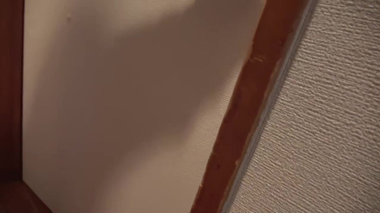 0008732_ずらしハメ 高速ピストン フェラチオ ほか