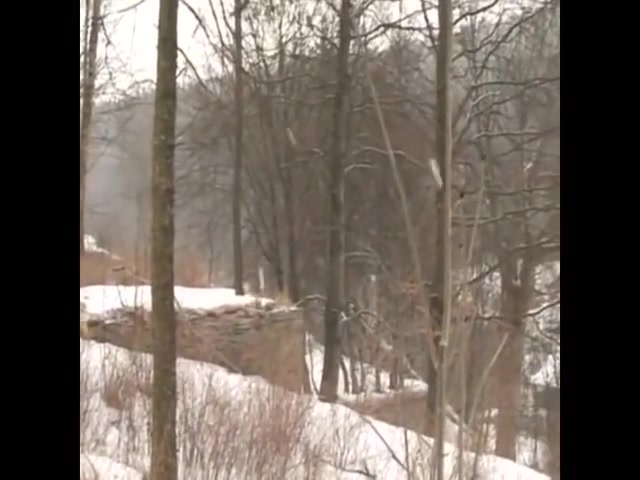 Scout Sex Boys Couple Action Film