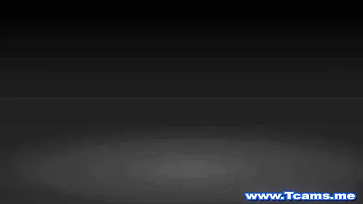 Wild Shemale Duo Banging On cam