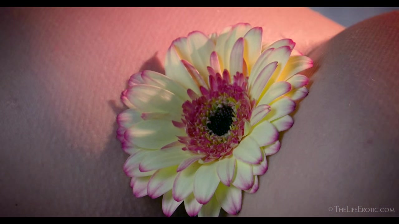 Gerber - Kalisy - TheLifeErotic