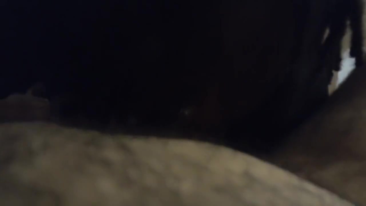 Gay Blowjob