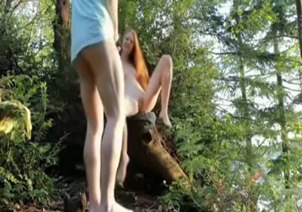 Trip to the woods