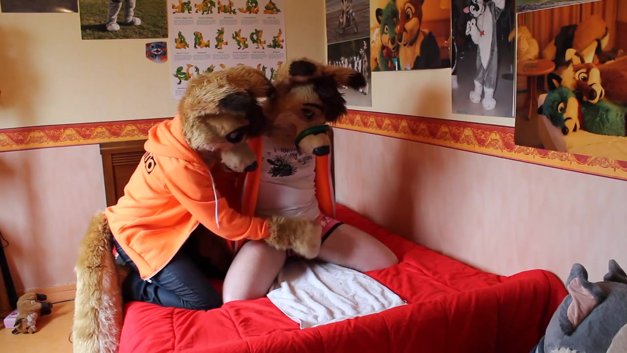 Tied Down Dingo Gets Overstimulated Hard