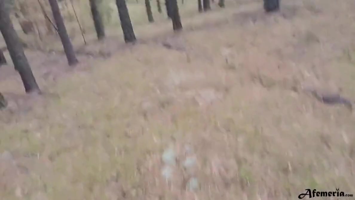 Horny Babe Caught In The Forest And Doggystyle Fucked