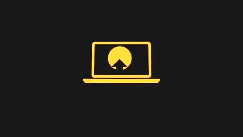 lady-man/female DP