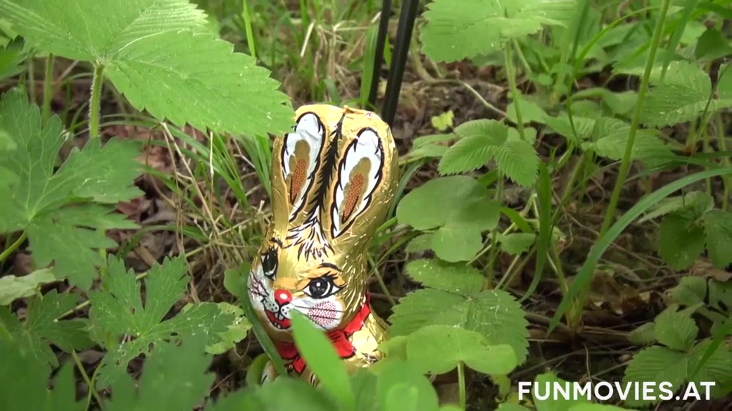 Austrian teen 18+ found a real easter bunny