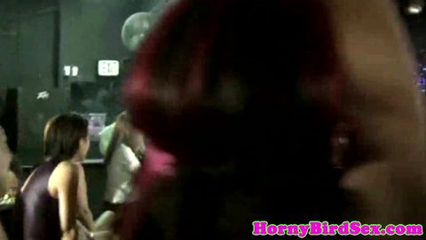 Housewife cocksucking stripper at party