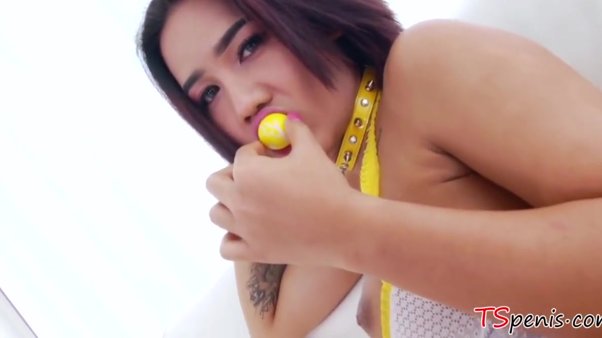 First a toy, then a dick finds a home in TS ass