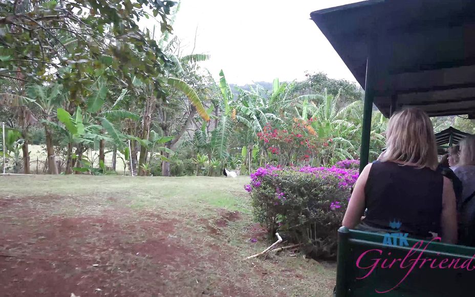 Virtual Vacation Hawaii With Cali Hayes 4/6