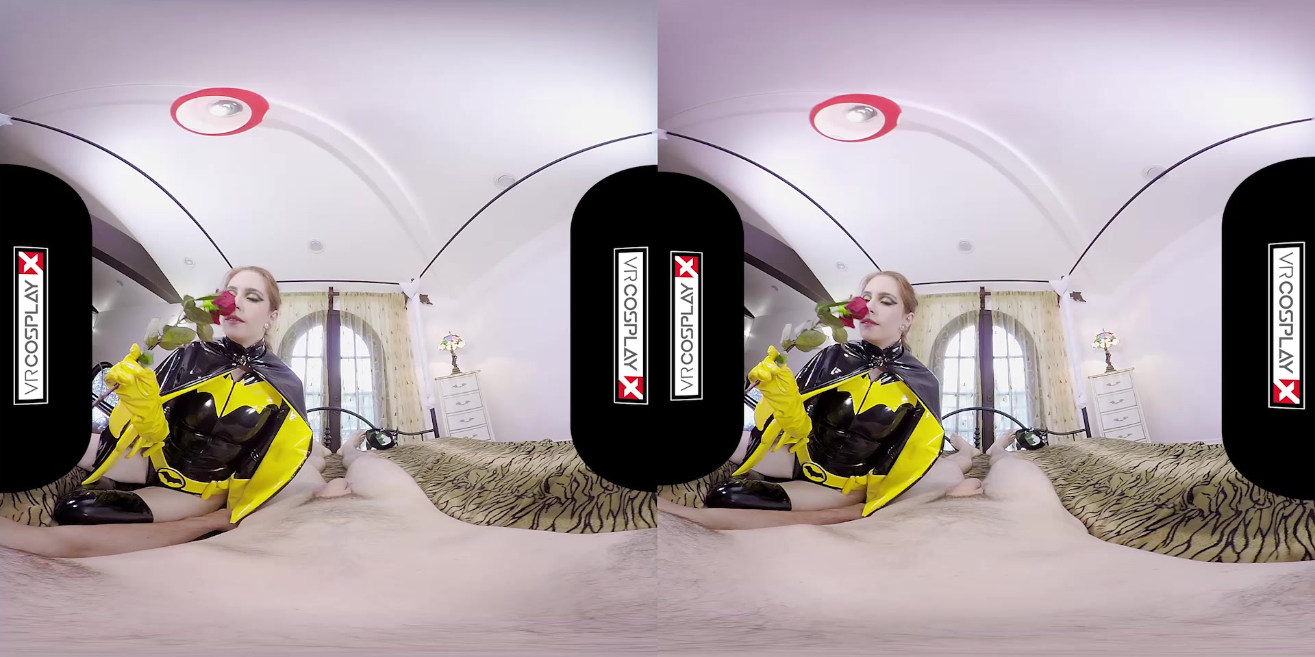 Batgirl A XXX Parody