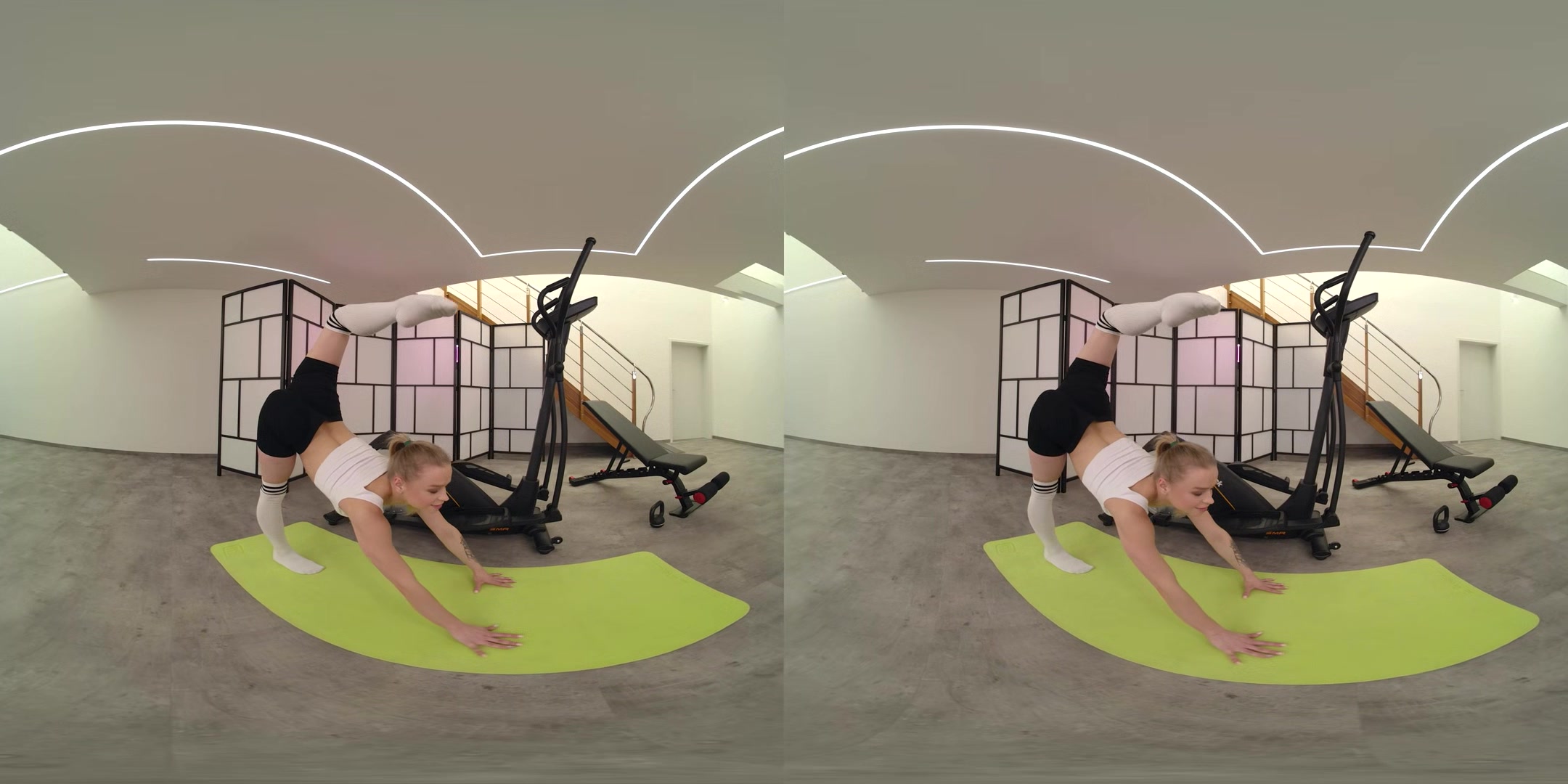 Flexible Anal in the Gym