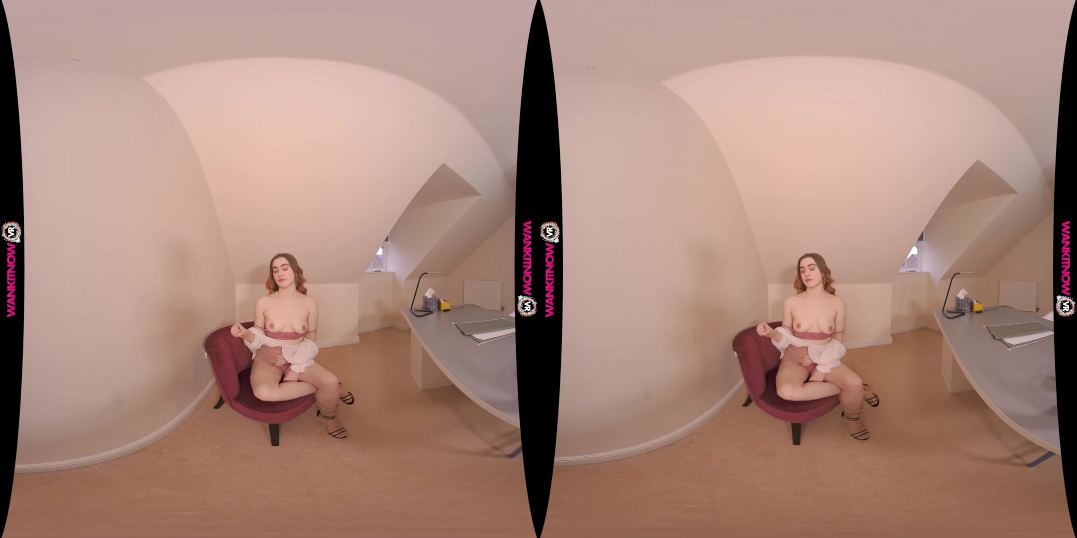 Wank Thief - WankitnowVR