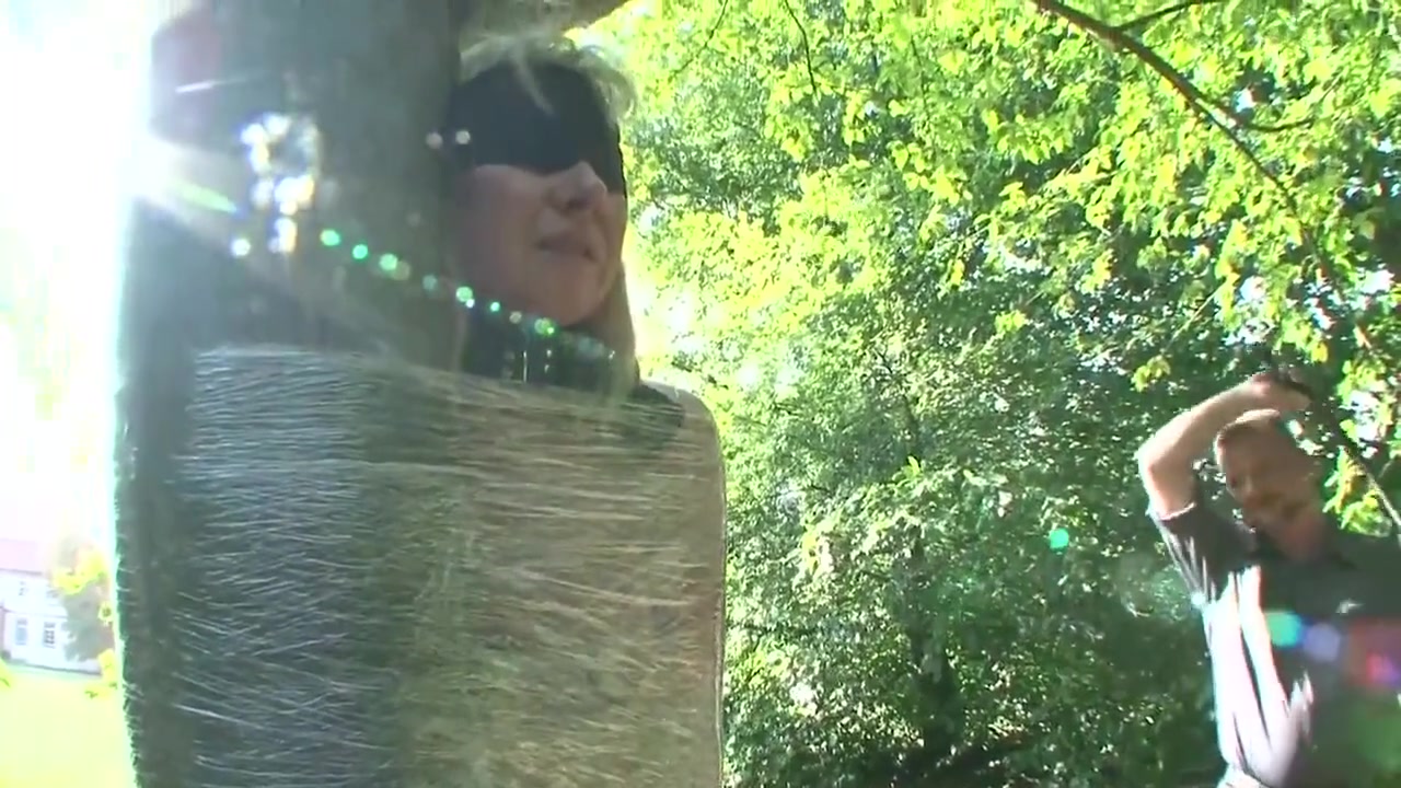 Tree Tied