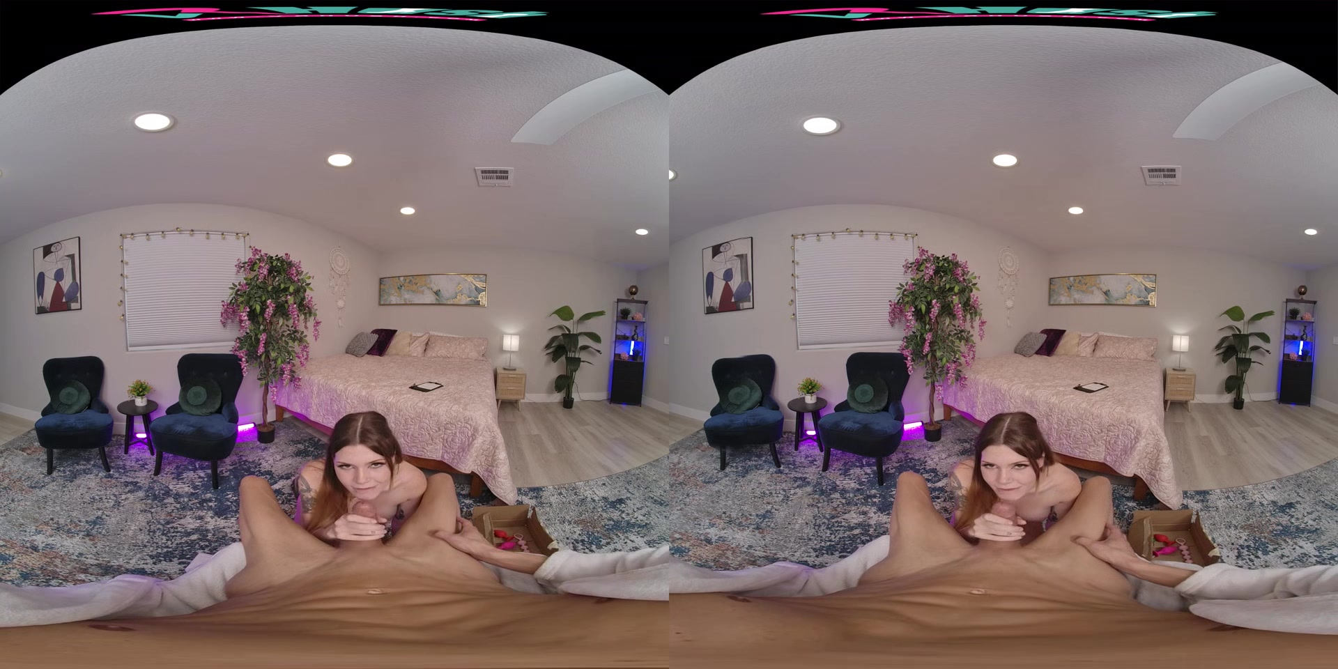 Alex Kane & David Lee - VR Porn Video