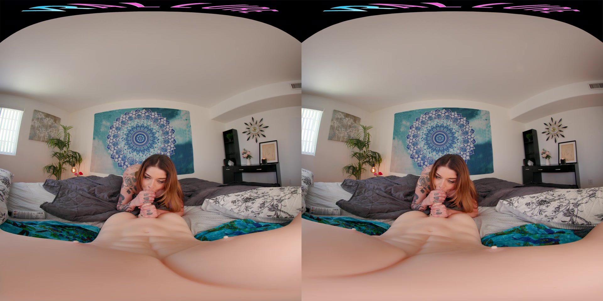 Vanessa Vega - VRHush