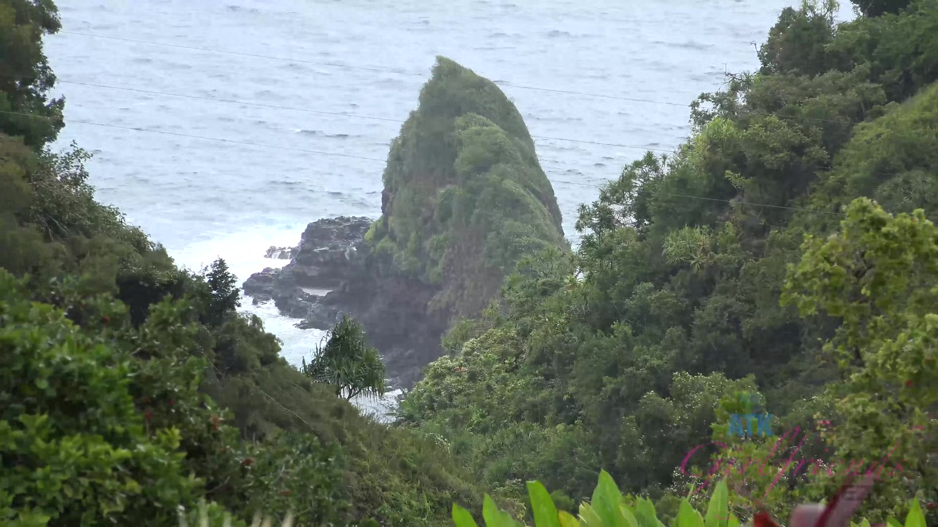 Virtual Vacation Hawaii With Kate England 1/9