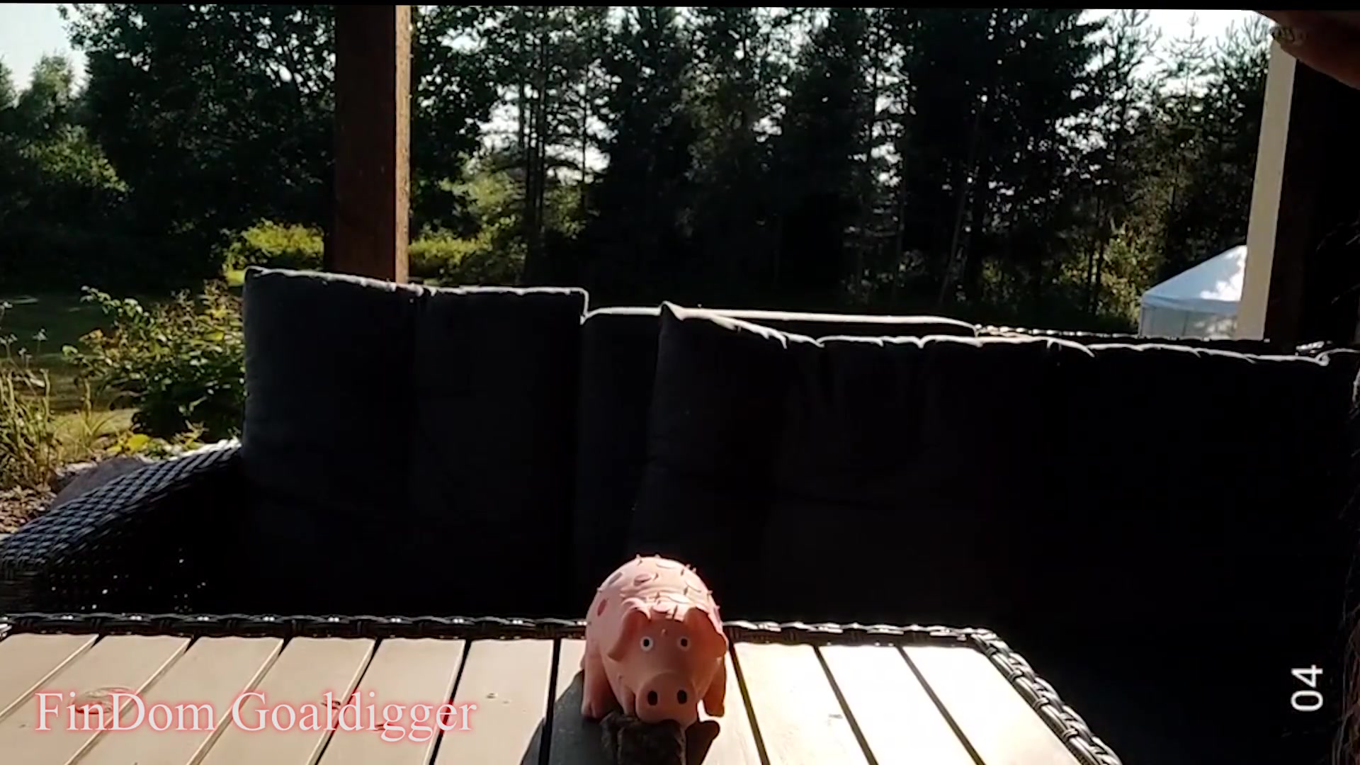 Pyapig Eat Your Meat - Sex Movies Featuring Findom Goaldigger