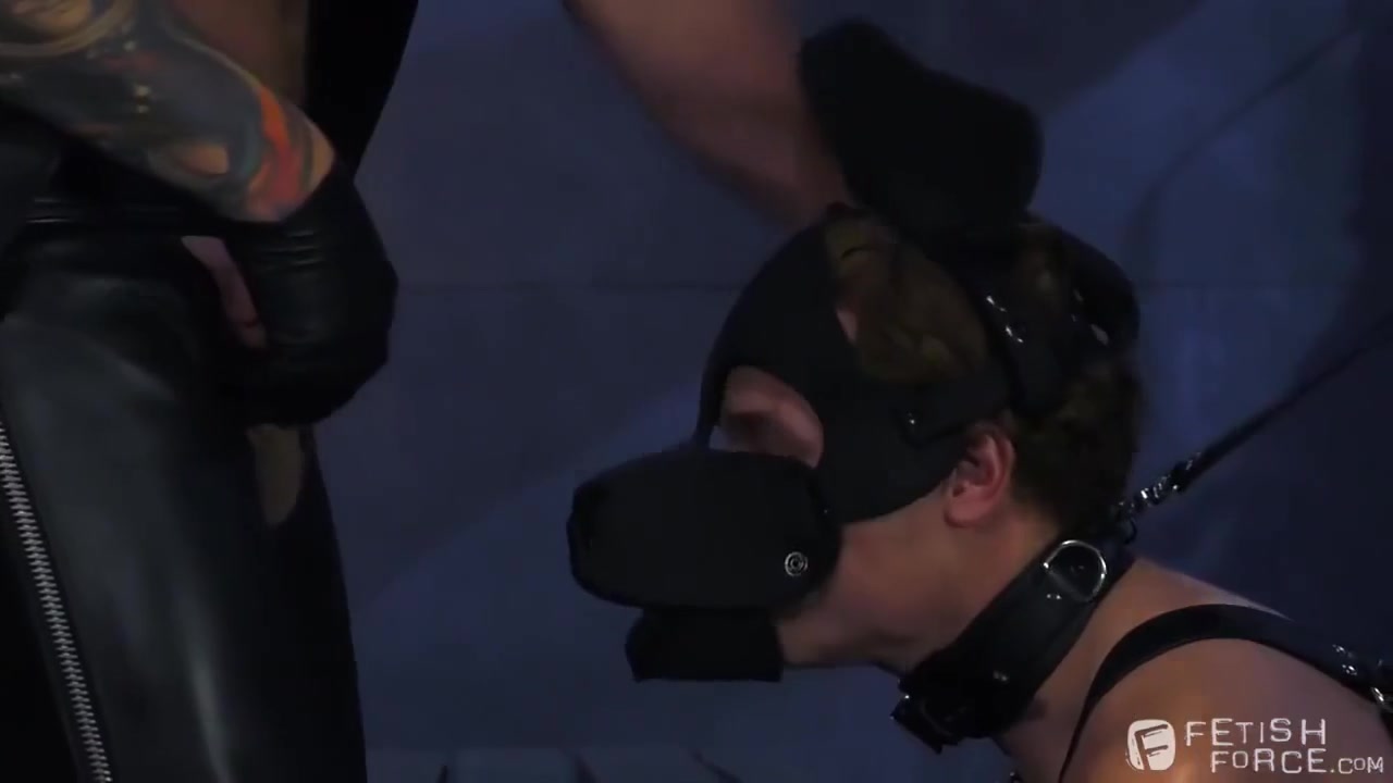 Pig Puppy 2