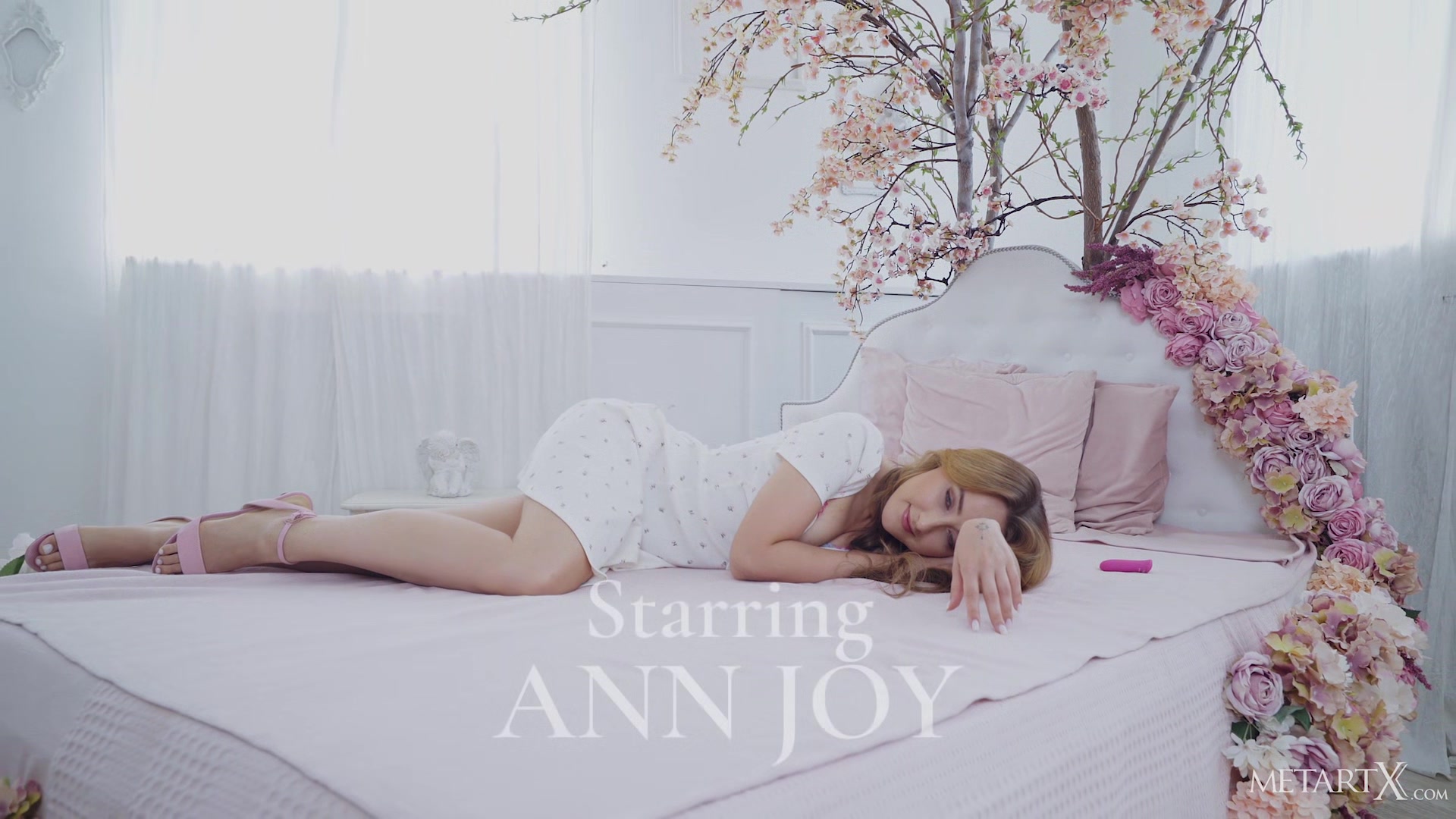 The Dreamer 2 - Ann Joy