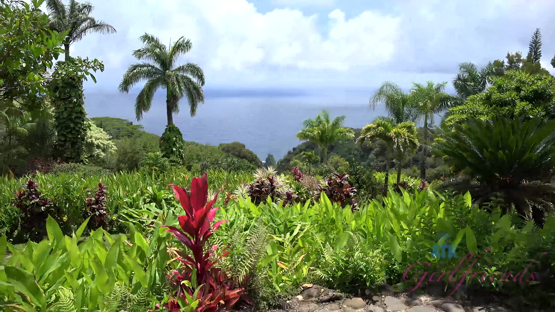 Virtual Vacation In Hawaii With Moka Mora Part 5