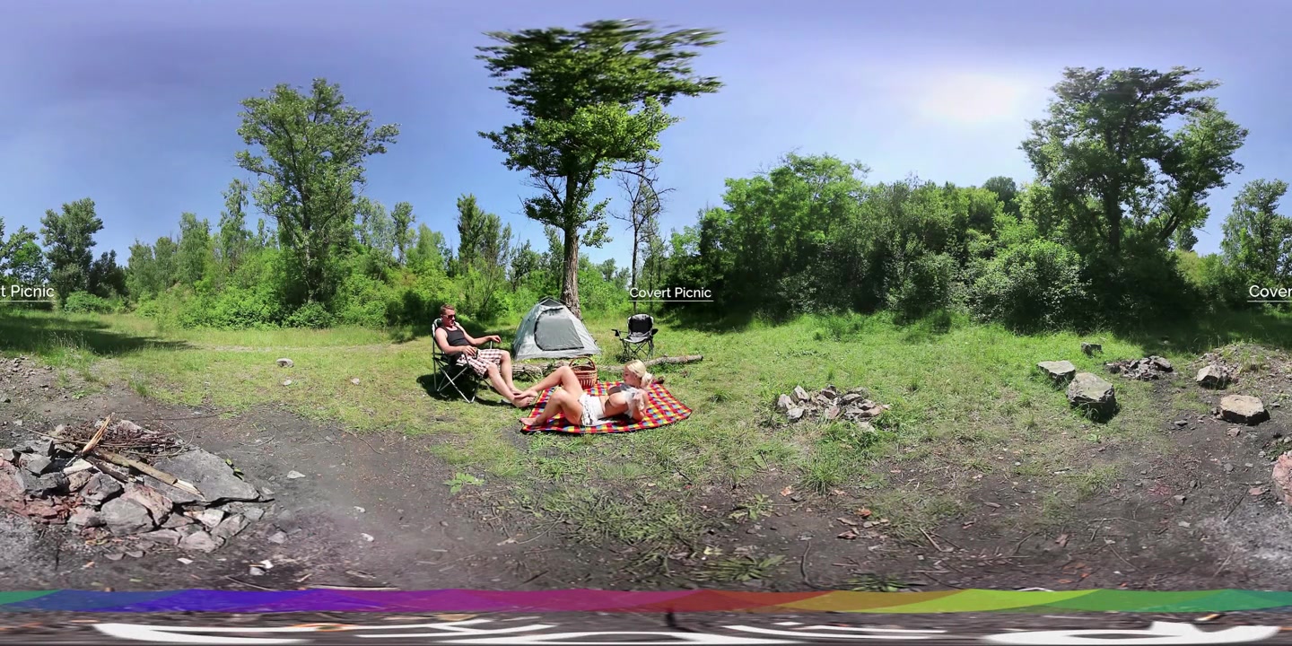 Covert Picnic