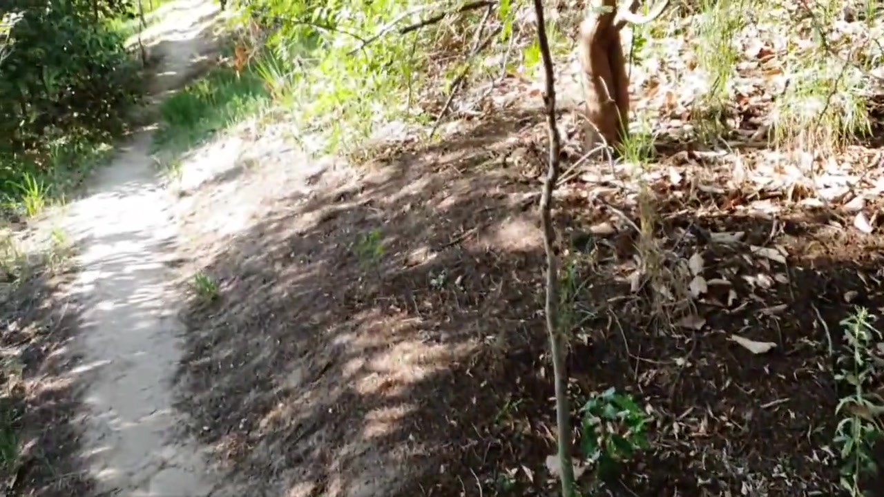 Boquete E Foda Arriscada Na Trilha Ate Gozar Na Boquinha Da Novinha 4 Min