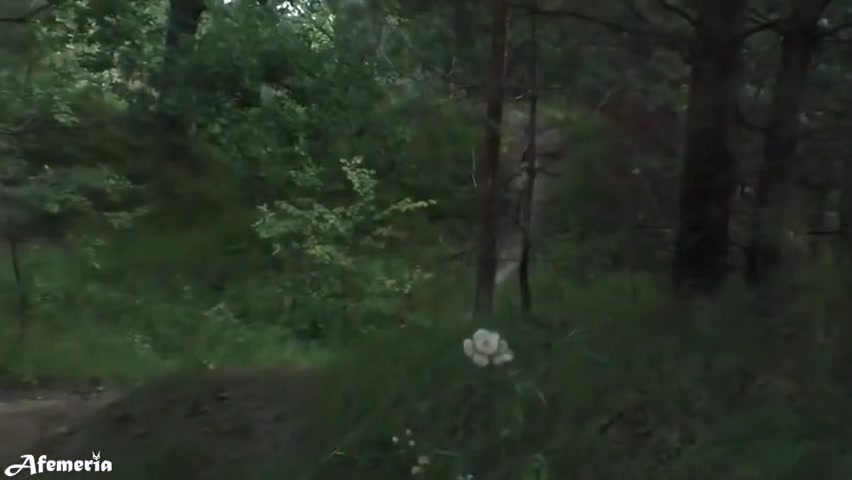 Femfoxfury - My Slutty Girlfriend Walks In The Park Naked And Jerks My Dick