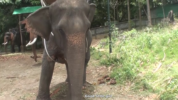 Blowjob as a punishment