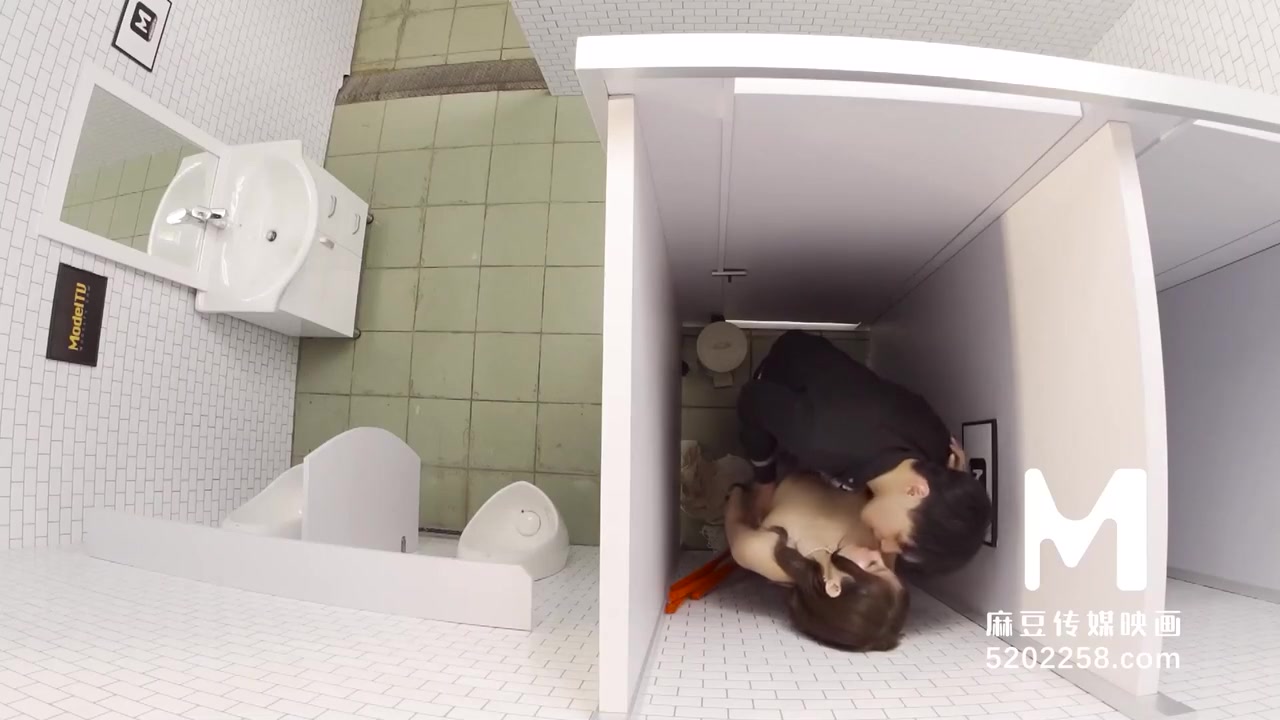 Sanitary Partitions Are Hard To Stop Passion Sex-mdwp-0022
