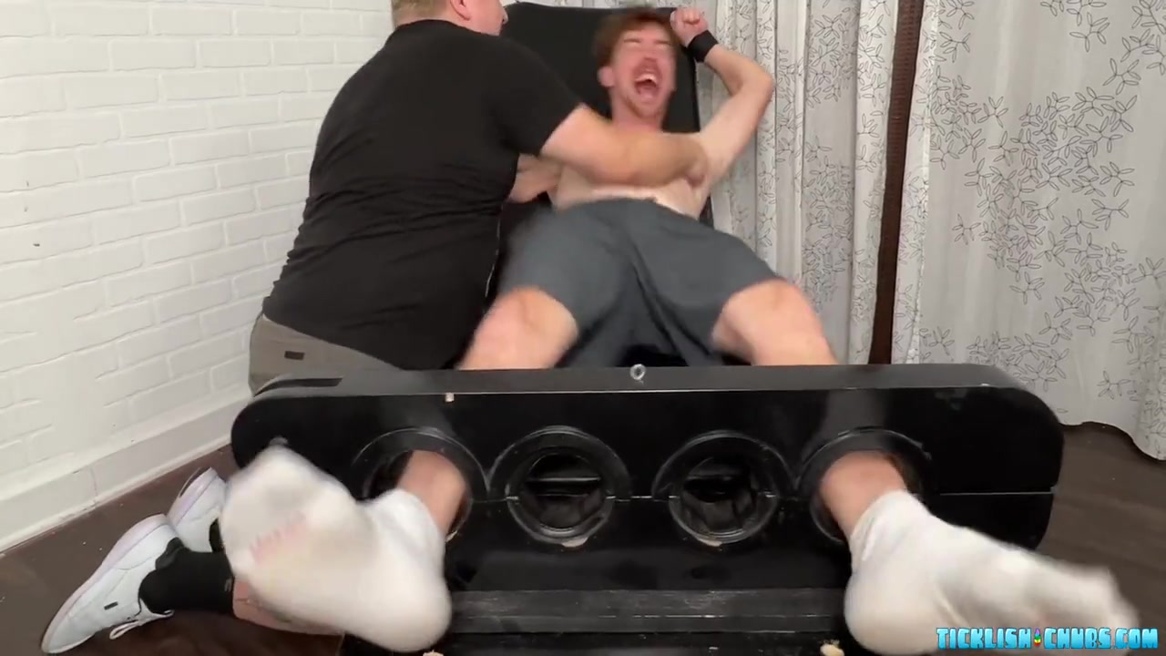 Pup Hammy In Matt Is Delighted To Make Giggle Hard