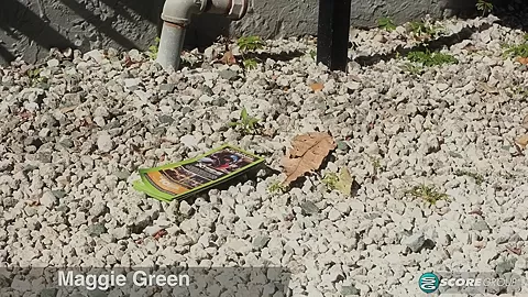 Like A Good Neighbor, Maggie Green Is There