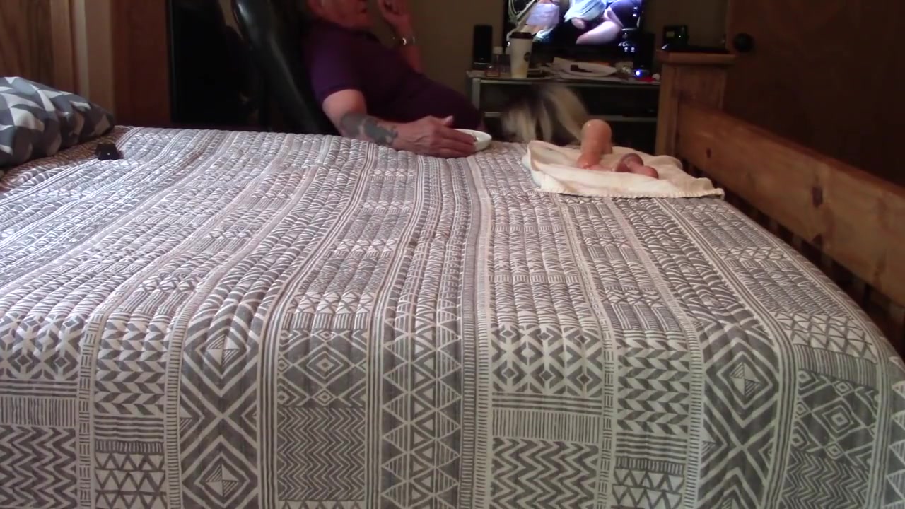 Horny Adult Scene Shemale Webcam Incredible , Its Amazing