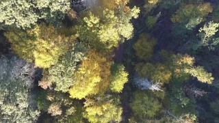 Himeros.tv 2018 Preview