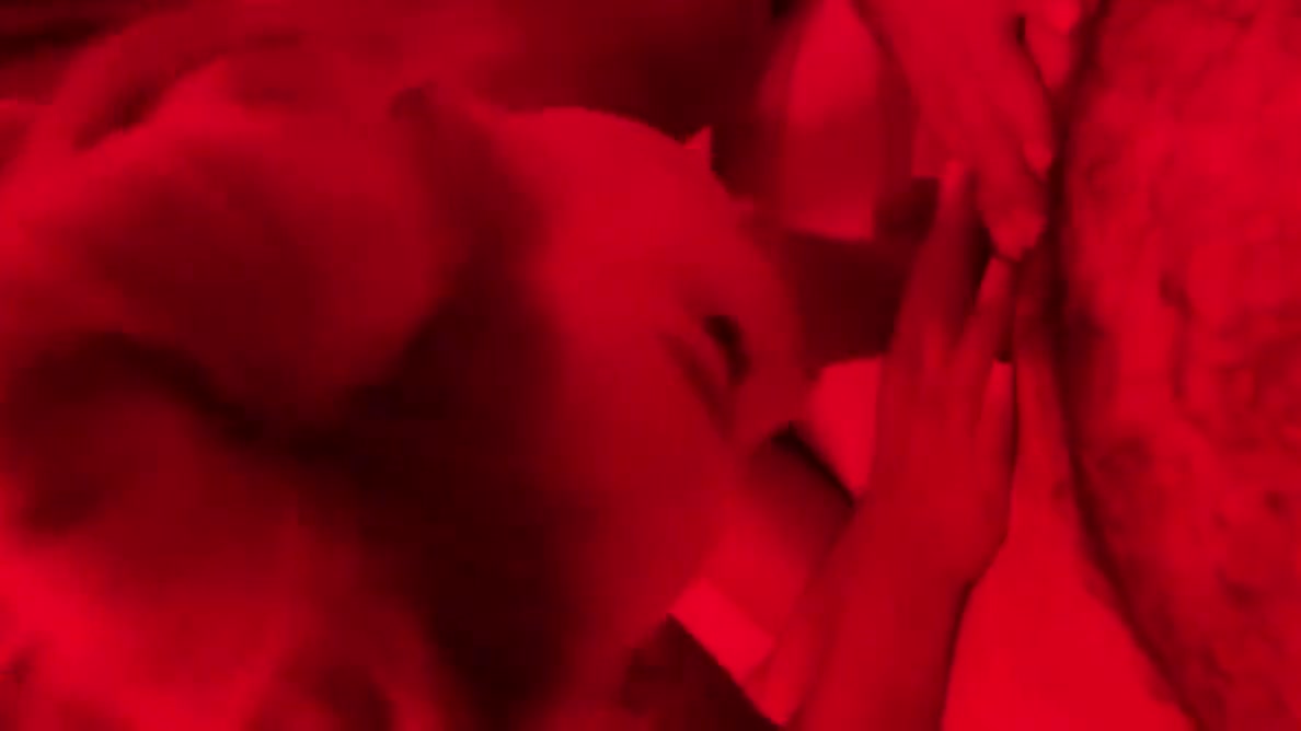 Monika Fox - Sloppy Blowjob & Fisting In Red Room