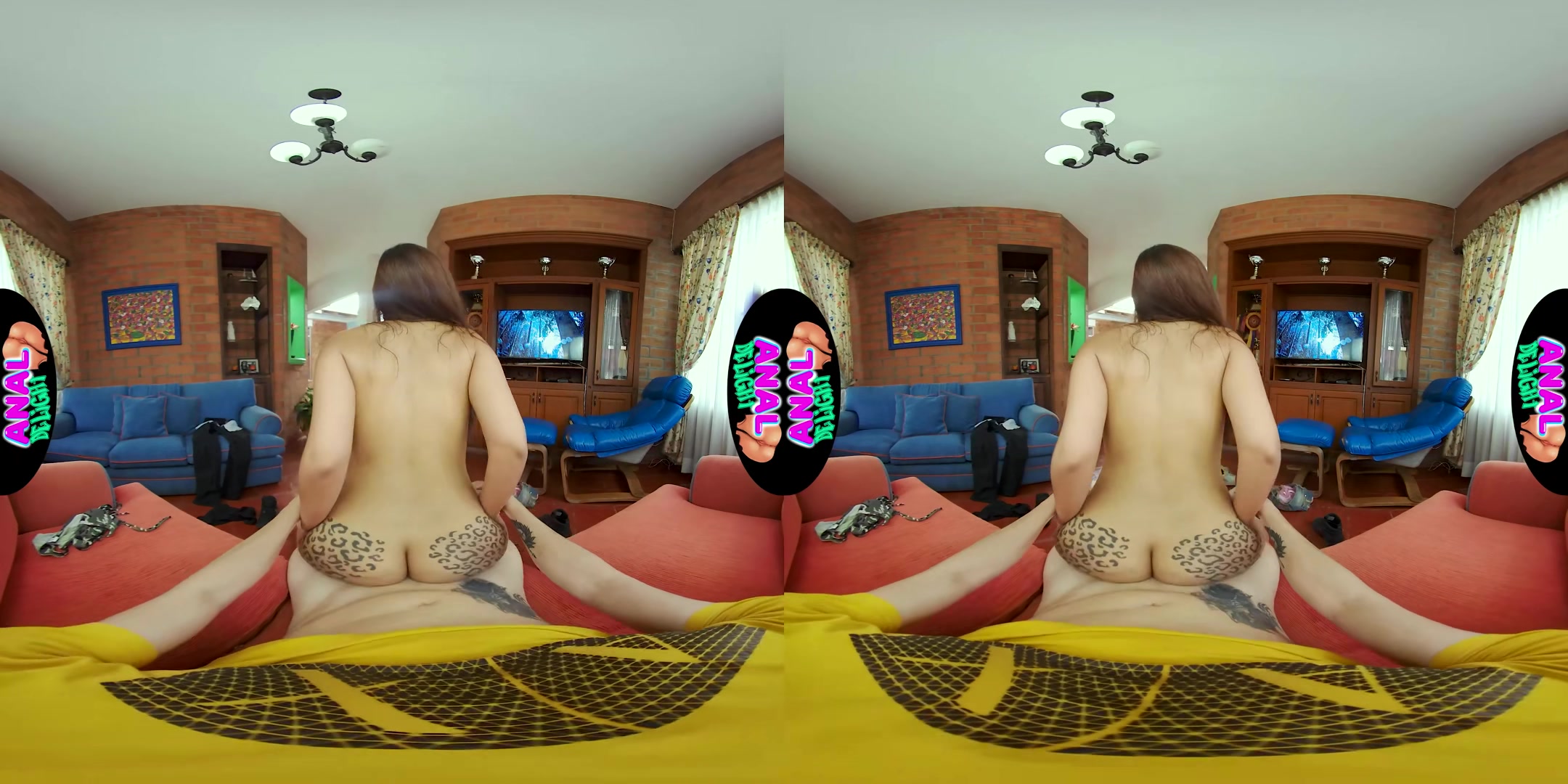 Vaginal Sex - AnalDelight