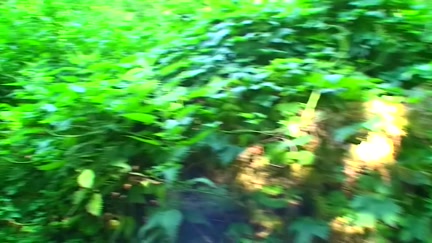 Fashionable babe in out door sex session