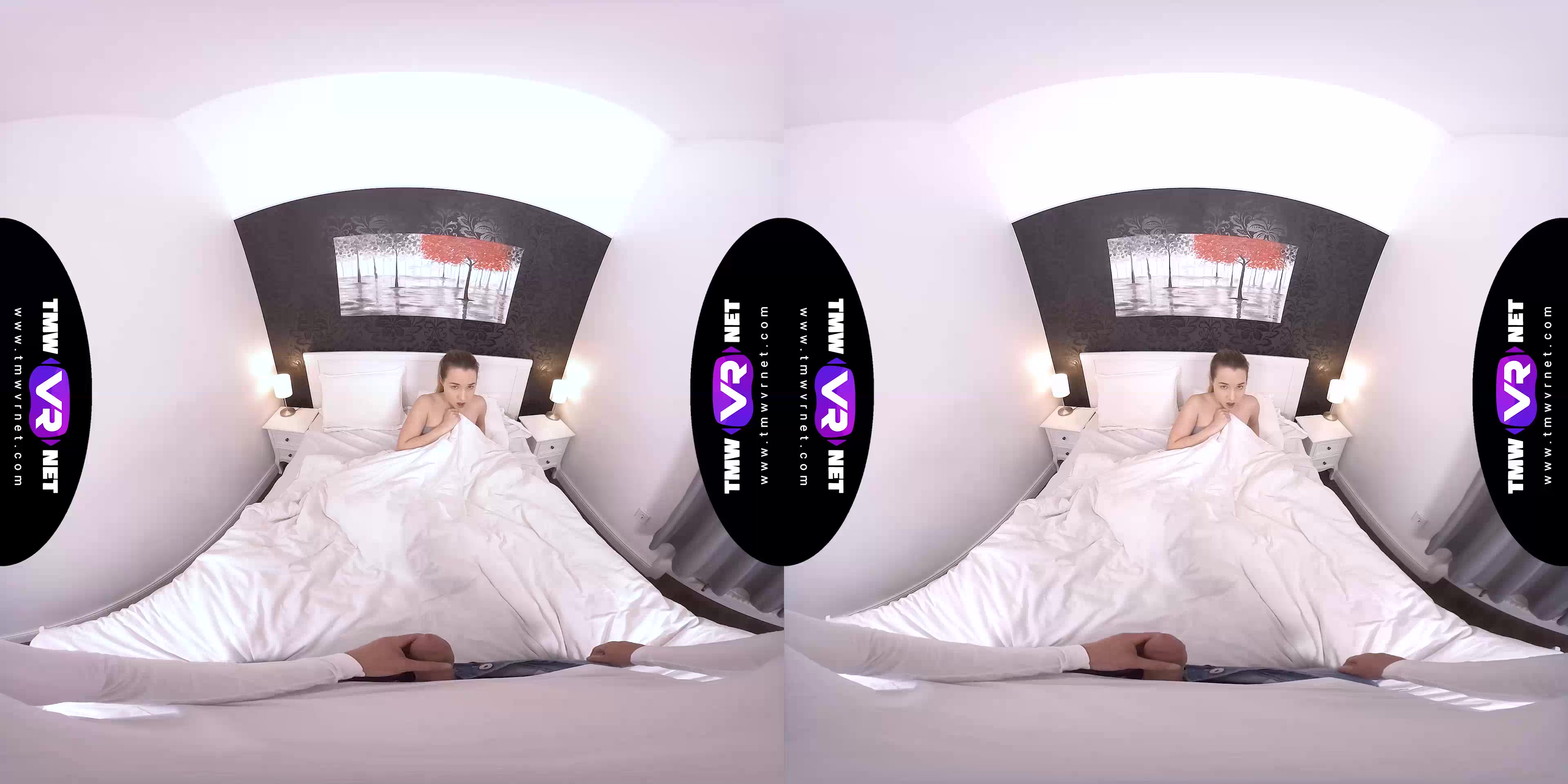 Lad wakes Beauty up for sex