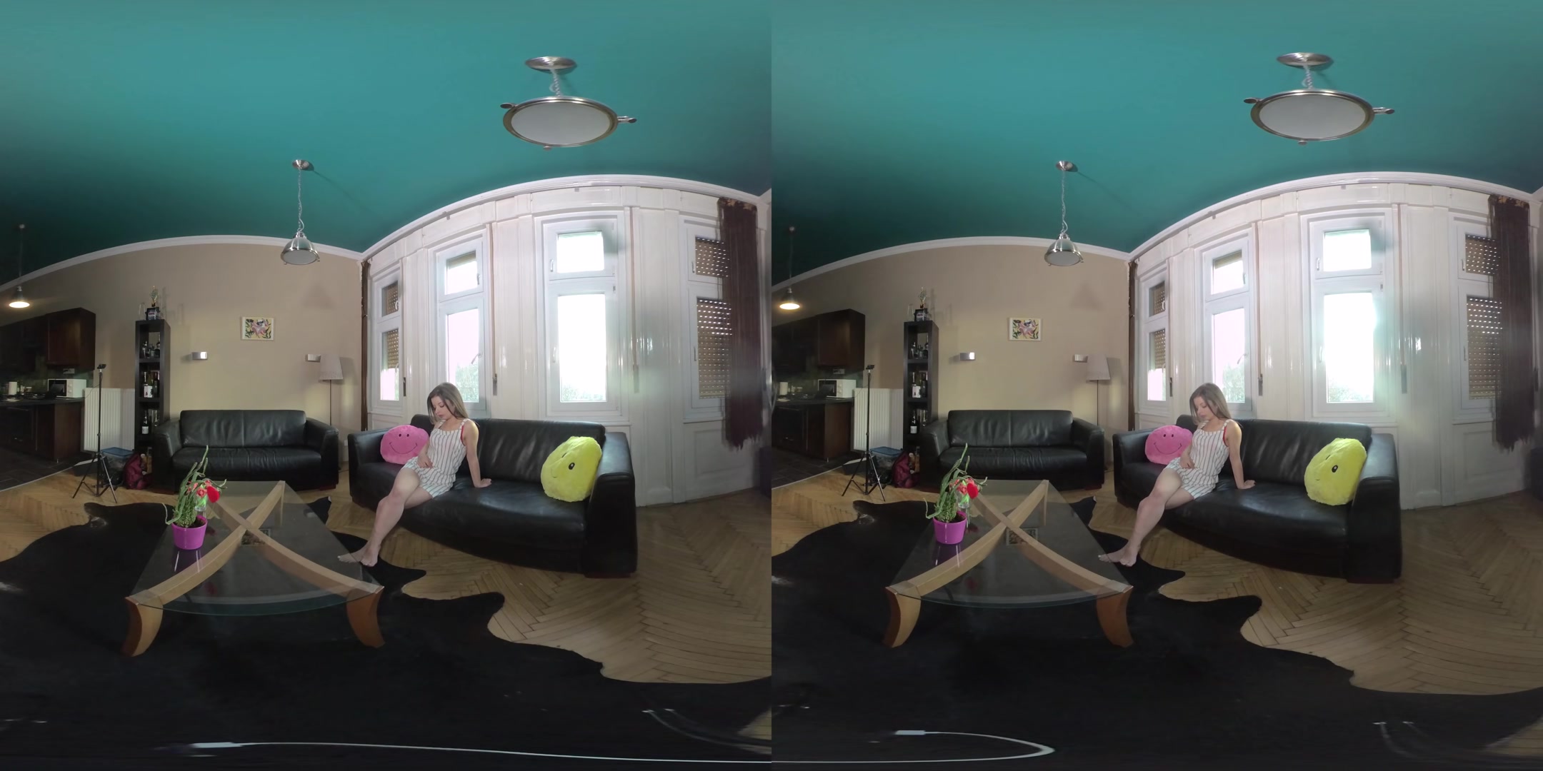 Matt Bird Blowjob Only - PornoDanVR