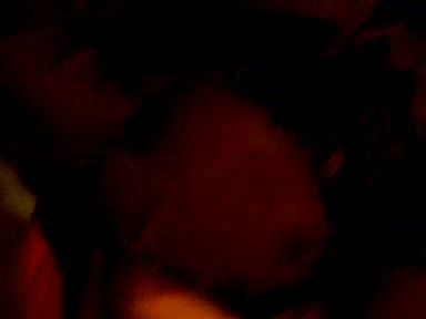 Naughty lesbian black babes playing for the camera