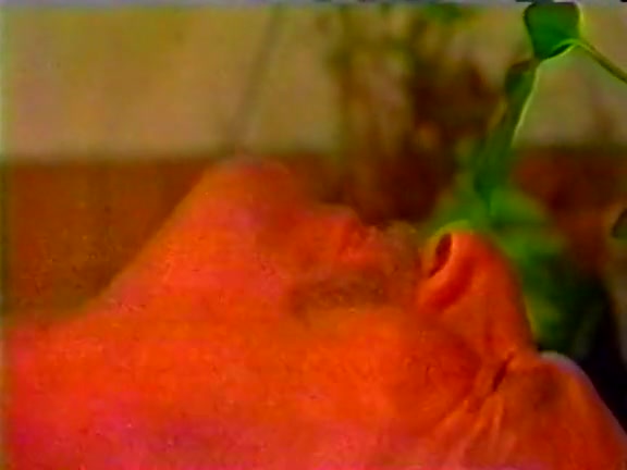 Tamara Longley, Kristara Barrington, Summer Rose in vintage sex video