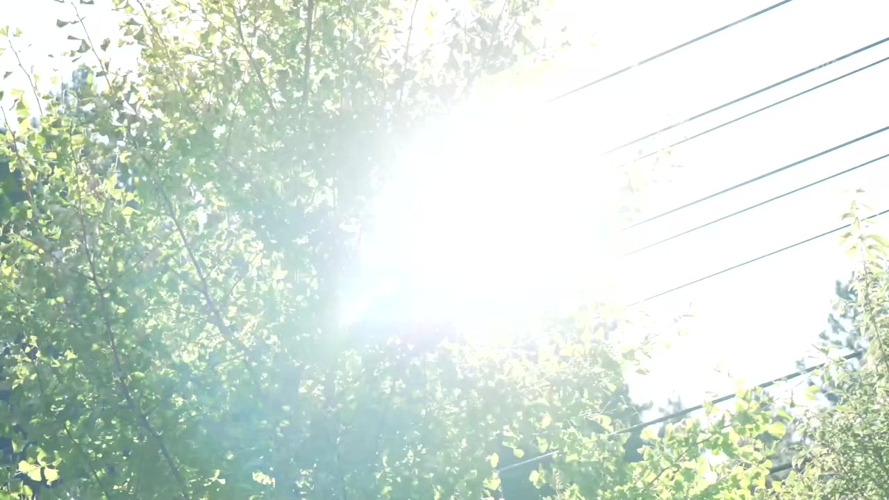 0010081_フェラ ジュポフェラ お掃除フェラなどが含まれている