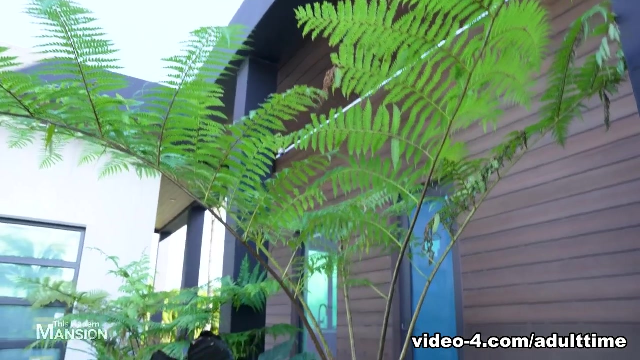This Modern Mansion: Naked Edition - 22, Scene #22