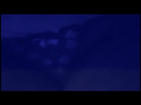 Asian Japanese Video