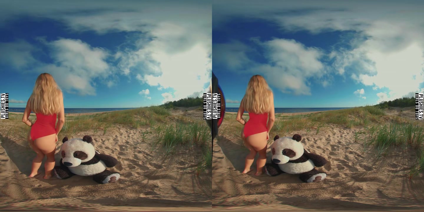 Beach Day In Poland - PlushiesVR