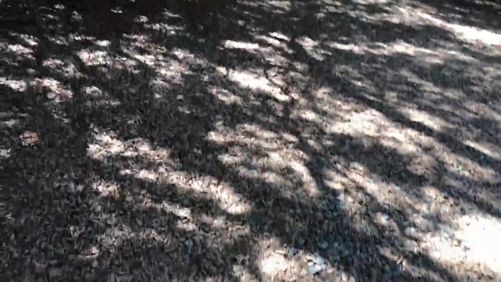 Girl Gets Her Ball From The Neighbor And Gets A Good Balling